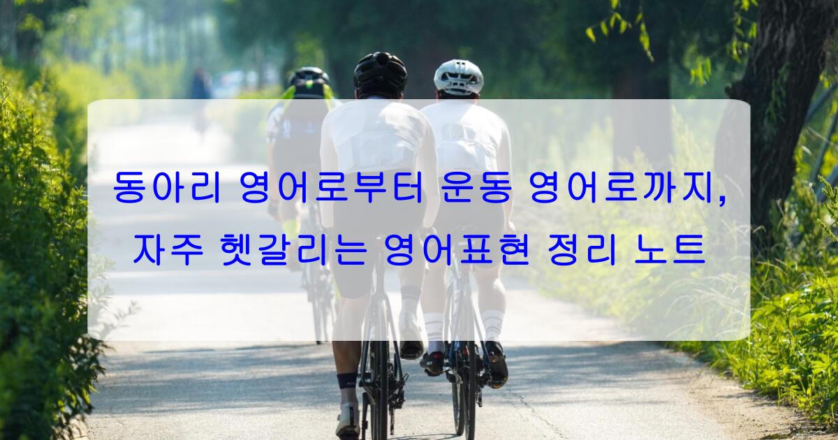 동아리 영어로부터 운동 영어로까지, 자주 헷갈리는 영어표현 정리 노트