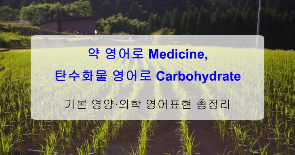 약 영어로 Medicine, 탄수화물 영어로 Carbohydrate – 기본 영양·의학 영어표현 총정리
