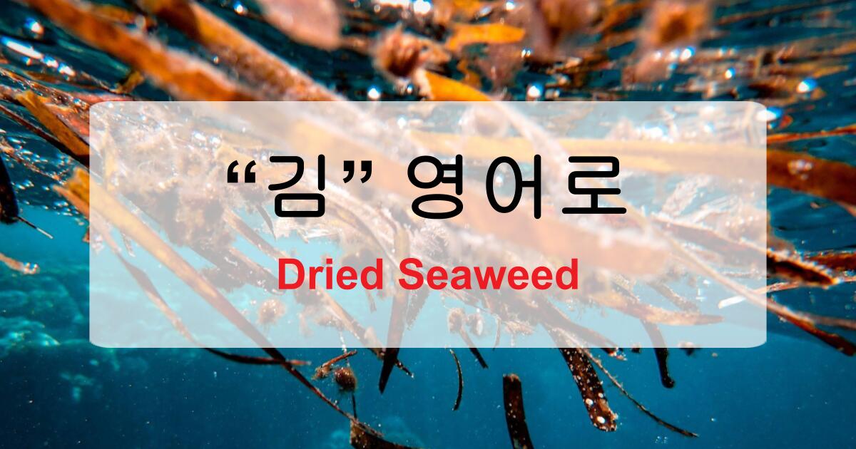김 영어로 하면? Seaweed, Laver, Dried seaweed