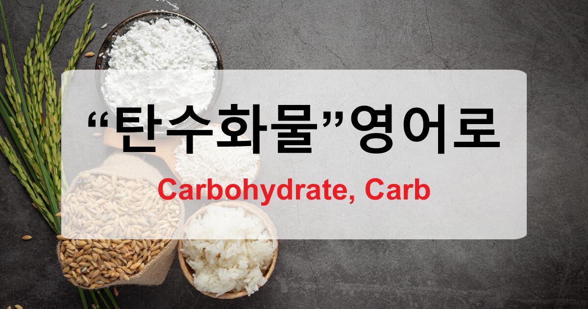 탄수화물을 영어로 단순히 Carbohydrate가 전부일까