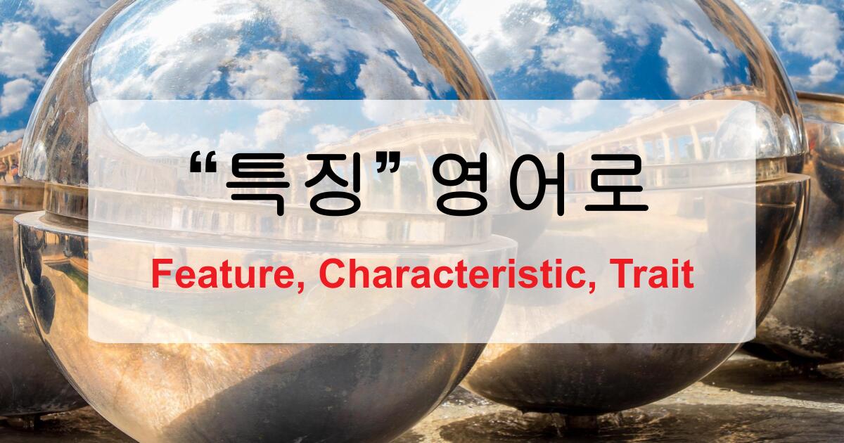 특징 영어로? Feature, Characteristic, Trait 차이 정리