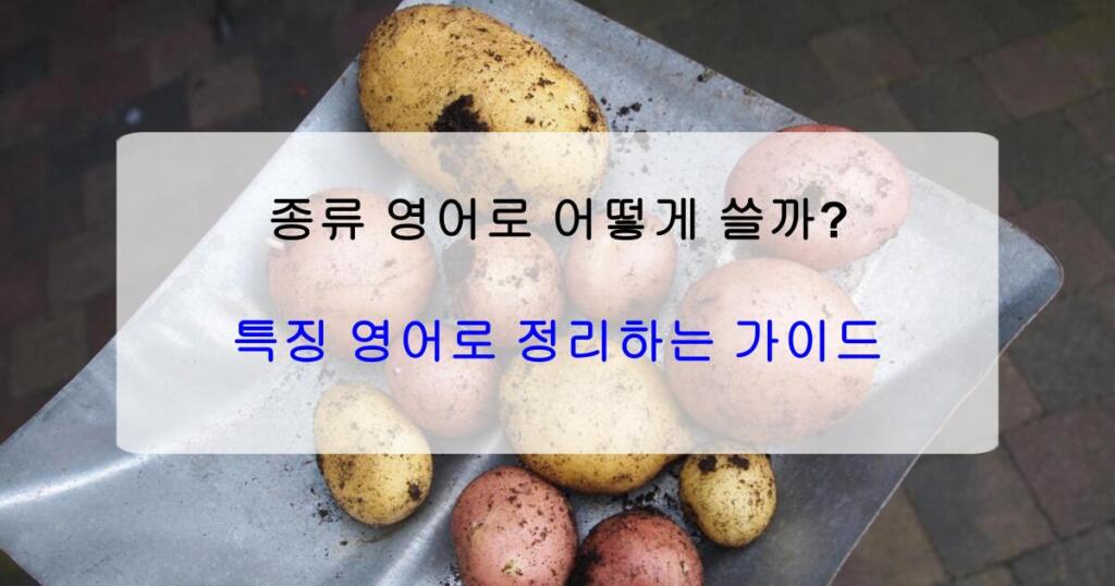 종류 영어로 어떻게 쓸까? 특징 영어로 정리하는 방법 가이드