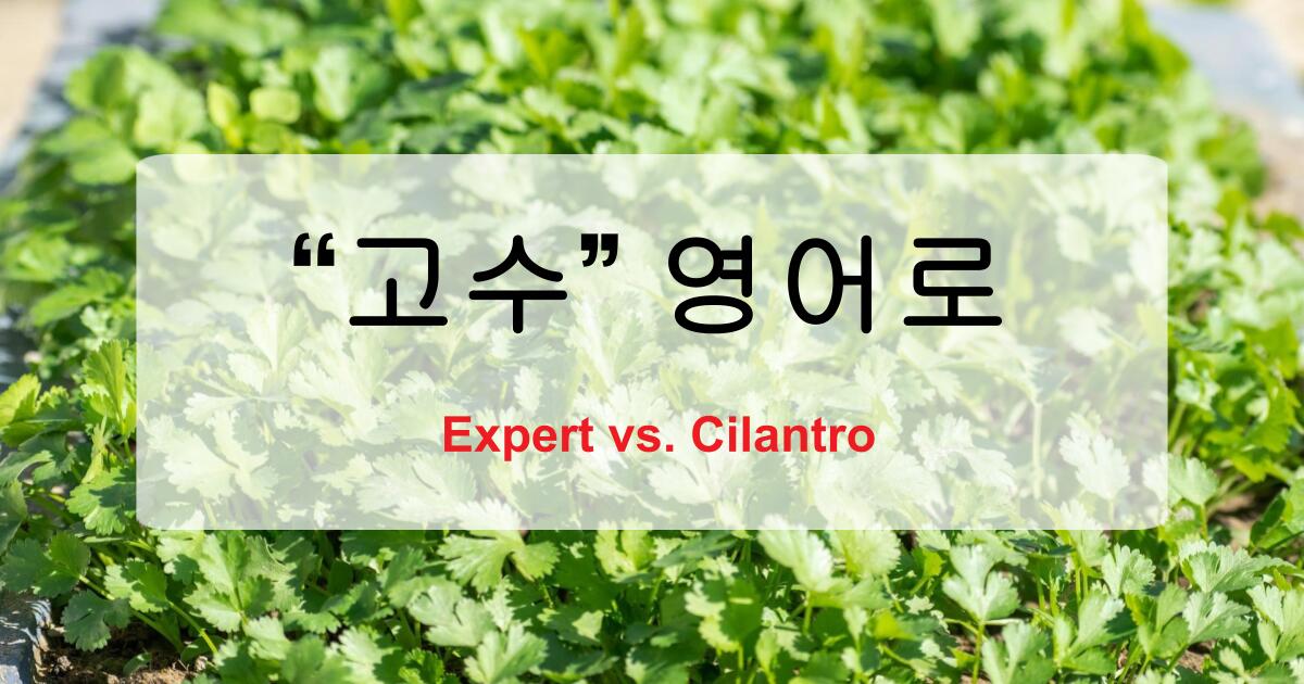 고수 영어로? 실력자와 향신료를 구분해서 말해보세요