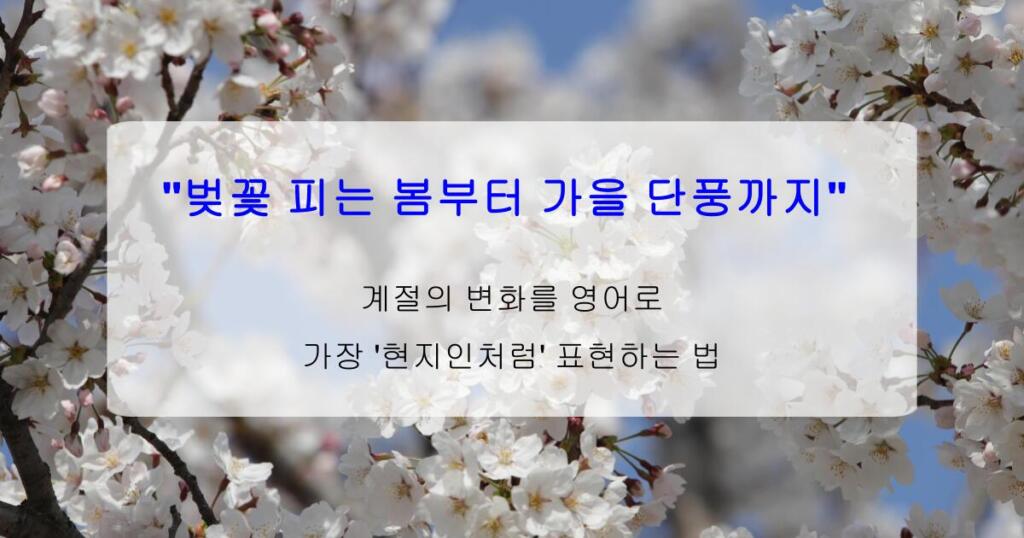 "벚꽃 피는 봄부터 가을 단풍까지" 계절의 변화를 영어로 가장 '현지인처럼' 표현하는 법