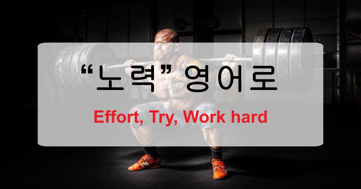 노력 영어로? effort, try, work hard 표현 정리