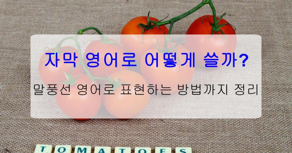 자막 영어로 어떻게 쓸까? 말풍선 영어로 표현하는 방법까지 정리