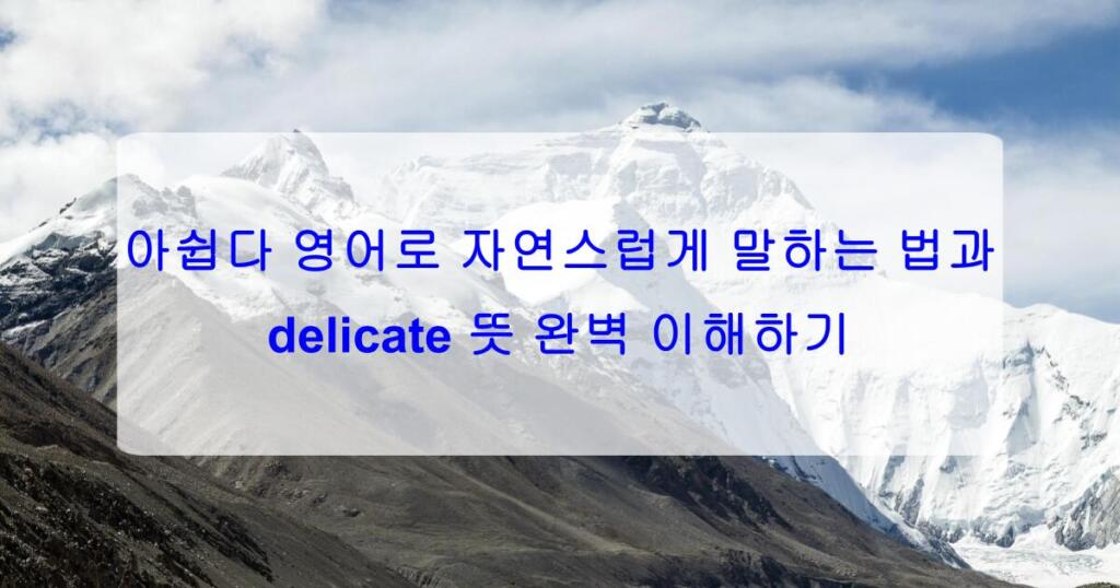 아쉽다 영어로 자연스럽게 말하는 법과 delicate 뜻 완벽 이해하기