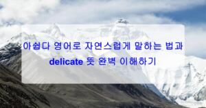 아쉽다 영어로 자연스럽게 말하는 법과 delicate 뜻 완벽 이해하기