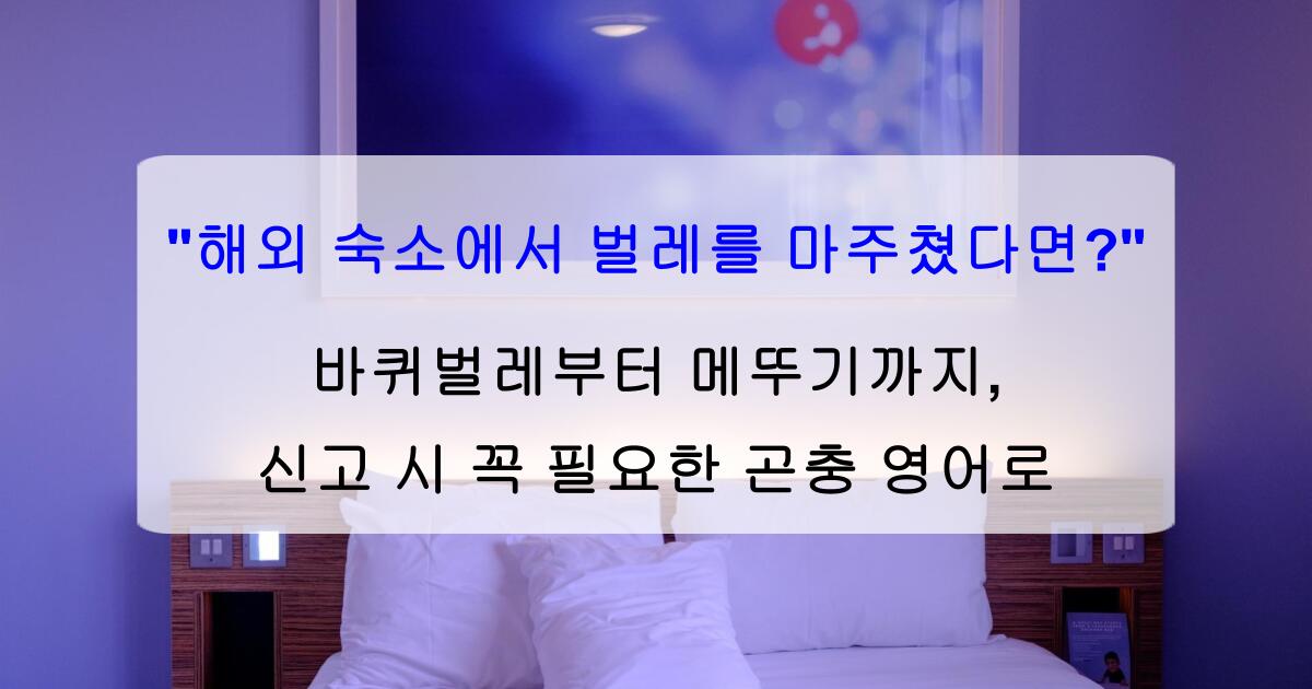 "해외 숙소에서 벌레를 마주쳤다면?" 바퀴벌레부터 메뚜기까지, 신고 시 꼭 필요한 곤충 영어로